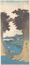 El puente de los monos