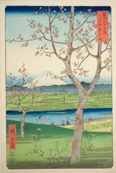 Los alrededores de Koshigaya en la provincia de Musashi (Musashi Koshigaya zai), de la serie "Treinta y seis vistas del monte Fuji (Fuji sanjurokkei)"