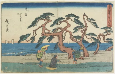 El Campo de Pinos en Hamamatsu