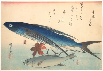 Peces tobiuo e ishimotchi, de la serie Uozukushi (Todas las variedades de peces)