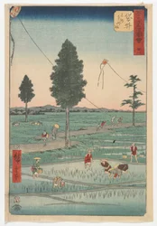 Veintiocho, Fukuroi, período Edo, 1855