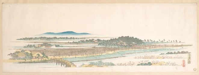 Vista del bosque de Azuma