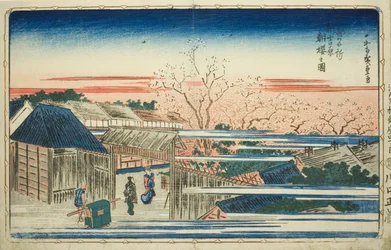 Vista de los cerezos en flor por la mañana en el Nuevo Yoshiwara, de la serie "Vistas famosas de la capital oriental"