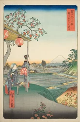 Vista del monte Fuji desde una casa de té en Zoshigaya (Zoshigaya Fujimi chaya), de la serie "Treinta y seis vistas del monte Fuji (Fuji sanjurokkei)"
