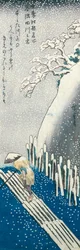 Escena de invierno