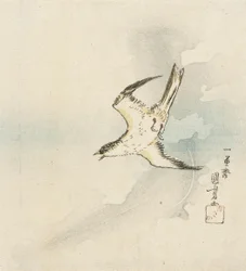 Cuco japonés