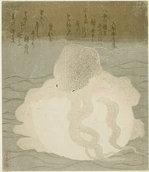 Pulpo y concha