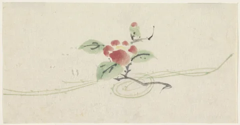 Rama con camelia roja