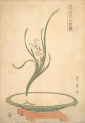 Arreglo Floral de Narcisos Suisen en un Plato Verde Plano