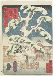Pino Rennyo en Miyanomori, siglo XIX