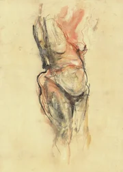 Estudio del desnudo rojo