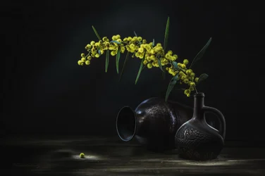 Naturaleza muerta con mimosa amarilla