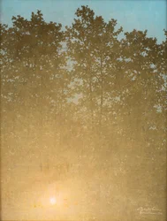 Atardecer. Fontainebleau