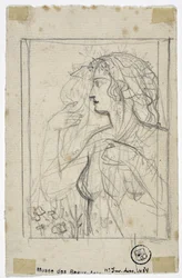 Perfil de la mujer (dibujo)
