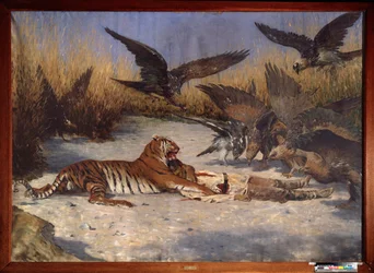 Un devorador de hombres - Pintura de Vasili Vasilyevich Vereshchagin (Vassili Vereshchagin) (1842-1904), óleo sobre lienzo, circa 1870-1880, arte ruso del siglo XIX - Museo de Arte Regional W Wereshchagin, Mykolaiv (Ucrania)