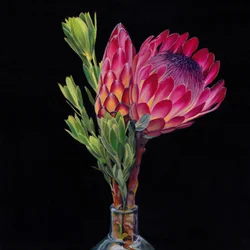 Jarrones Pink Protea