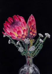 «Protea y Blombos», de Viccy Wanliss