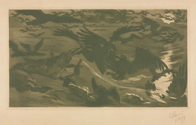 Aves de Presa