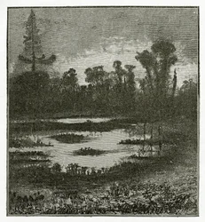 Les Chants du Crépuscule, Siglo XIX