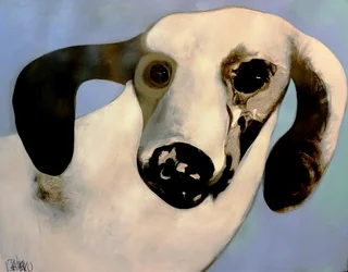 Retrato canino de ensueño