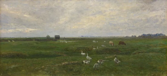 Gansos junto a un lago. Se avecina una tormenta. Dragør, la isla de Amager