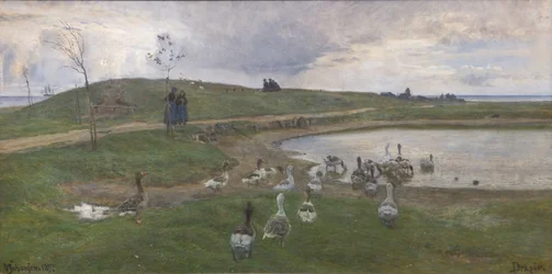 Gansos junto a un lago. Hacia clima tormentoso. Dragør