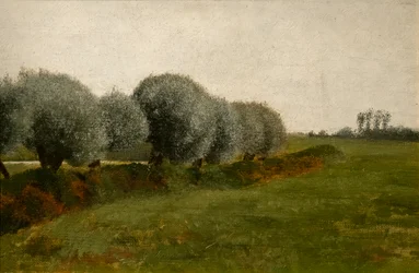 Paisaje con una fila de árboles