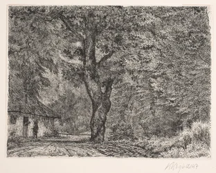 La casa en el bosque