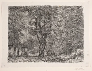 La casa en el bosque