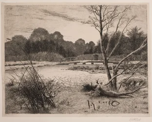 Puesta de sol en un bosque