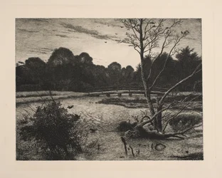 Puesta de sol en un bosque