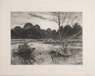 Puesta de sol en un bosque