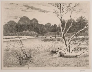 Puesta de sol en un bosque