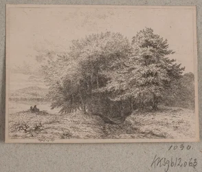 Borde de un bosque