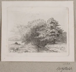 Borde de un bosque