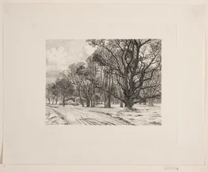 Invierno en el bosque