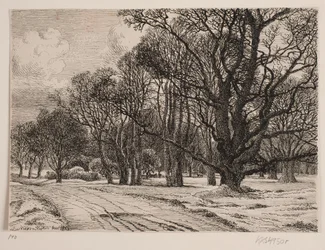 Invierno en el bosque