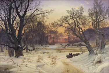 Noche de invierno en un bosque