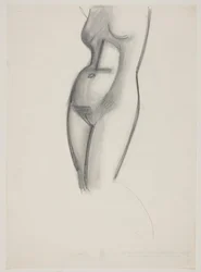 Modelo femenina, torso
