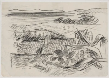 Paisaje con agave