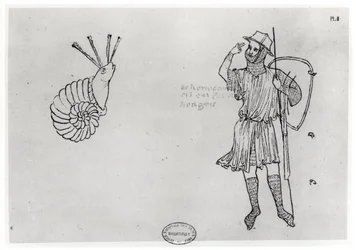 Fol.2 Caracol y soldado húngaro (copia facsímil)