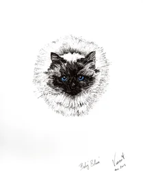 Bebé pelota, 2015