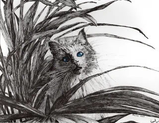 Planta Monty, 2015