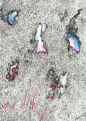 Cabezas Pálidas, 2017
