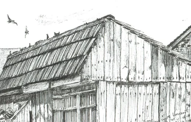 Palomar, 2003
