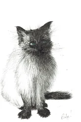 Bebé joven, 2004