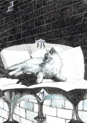 página 52, El castillo en el bosque de Findhorn, 2006