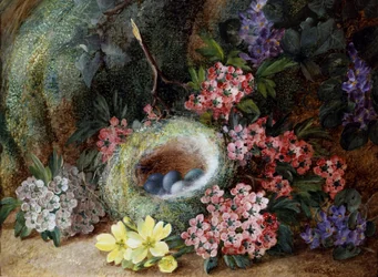 Nido de pájaros con flores y prímulas. Pintura de Vincent Clare (hacia 1855-1930) Colección particular.