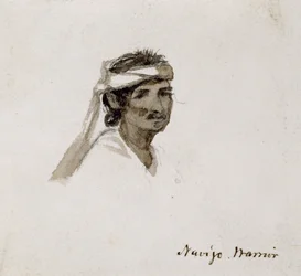 Guerrero navajo, 1869-1871