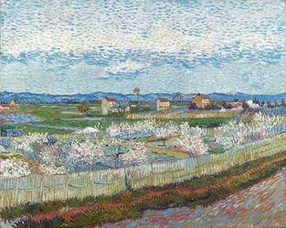 Melocotoneros en flor, 1889